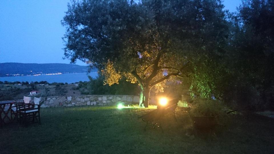 Erotokritos Apartment